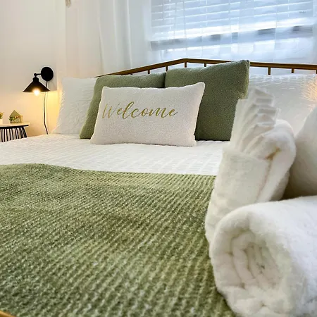 4 Bedrooms Chic House In South Tampa 5 Min From Bay